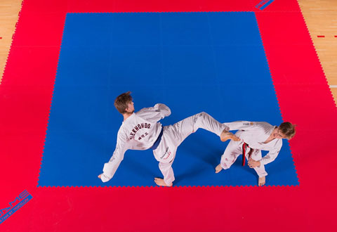 Mma Mats Tatami Flooring Matsdirect